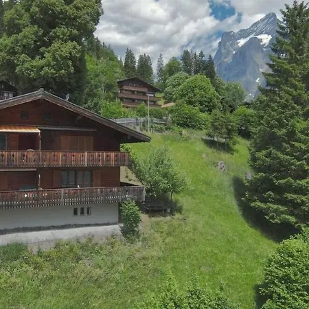 Apartment Chalet Amsel *